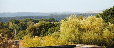 Purbeck views (00...
