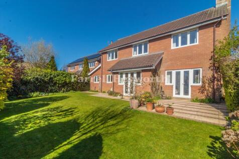 Rear Garden image 2