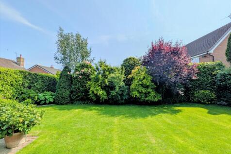 Rear Garden New