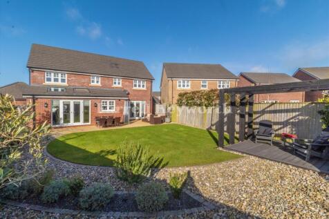Rear Garden image 2