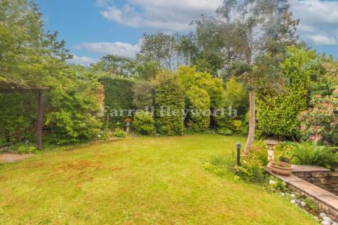 Garden image 3