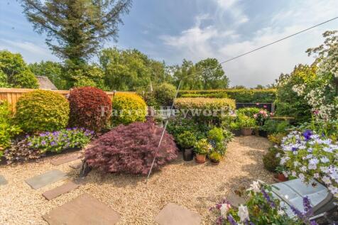 Rear Garden image 4