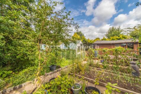Garden image 2