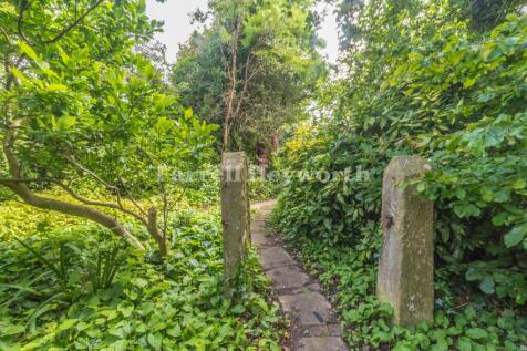 Garden image 7