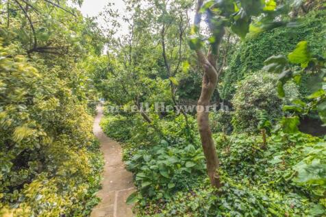 Garden image 6