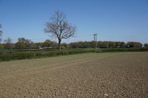 DSC01211.JPG