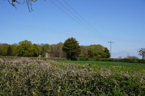 DSC01213.JPG