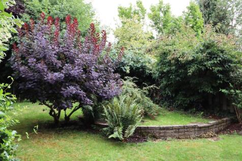 garden2.JPG