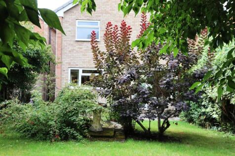 garden3.JPG