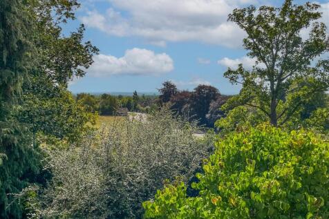 IMG_0459-Edit.jpg