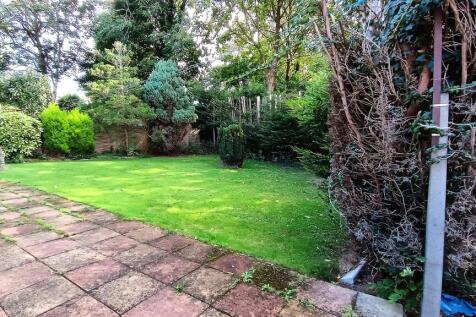 Back Garden.jpg