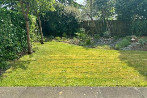 view from patio door