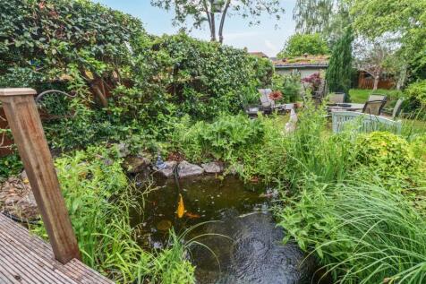 pond
