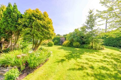 Property Image 39