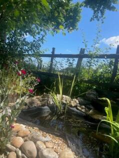 Photo 34