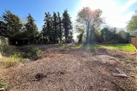 Plot 1 (2)