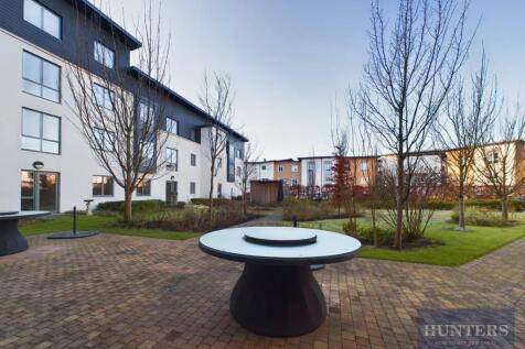Rear Garden.jpg