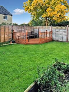 garden 2.jpg