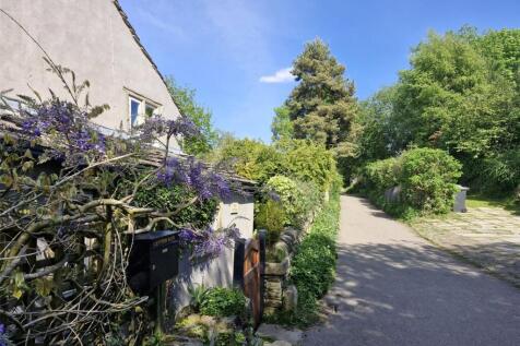 Lane View