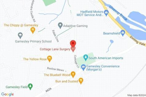 Google Maps Image