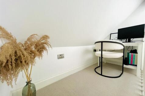 Study Area