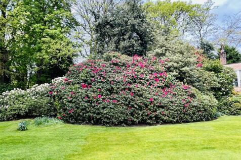 Communal Gardens