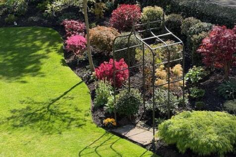 garden v 3.jpg