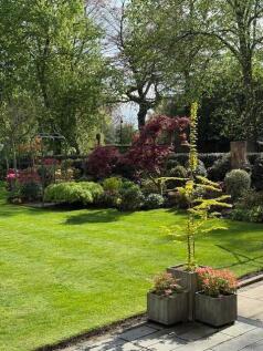 garden v 2.jpg