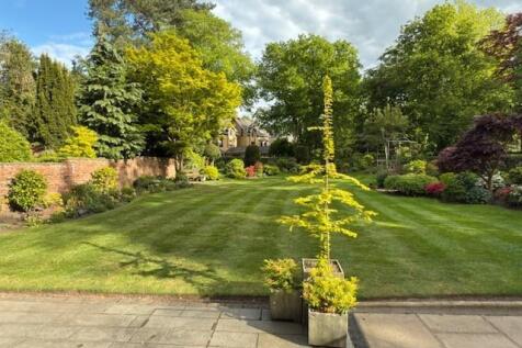 garden v 4.jpg