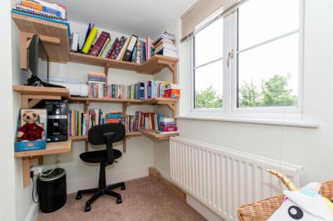 Study Area