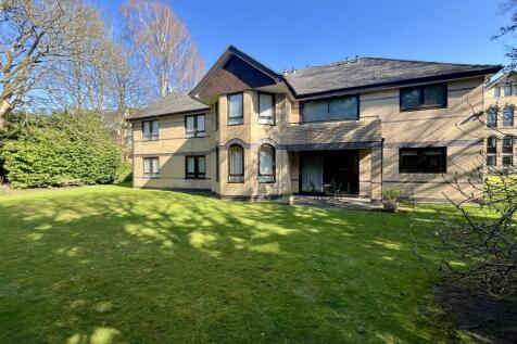 Rear Elevation