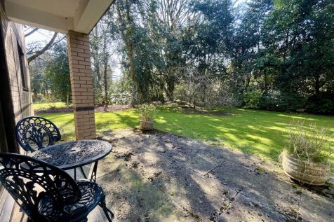 Patio Area