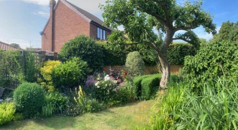 Property Image 39