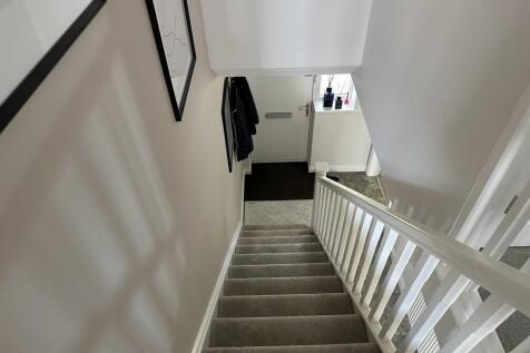image0 (14)