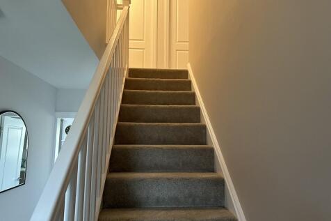 image2 (3)