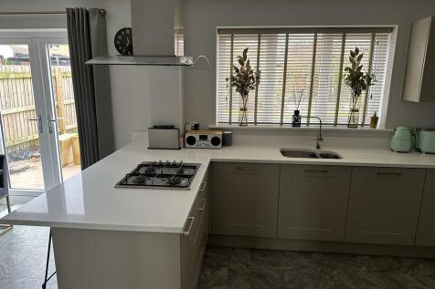 image2 (5)