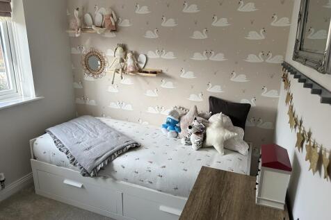 image2 (6)