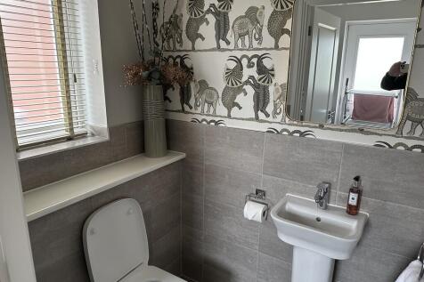 image3 (3)