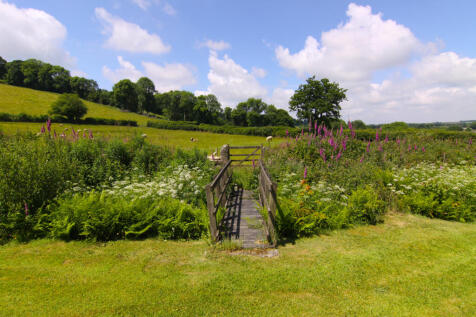 garden-3.jpg