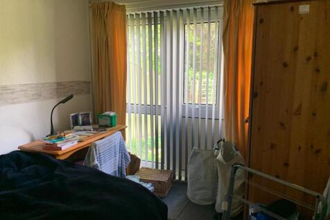 image1.jpeg