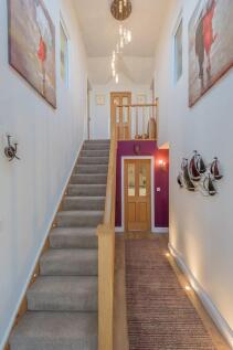 Photograph 20