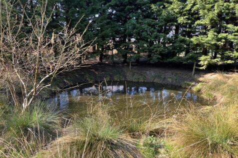 Wildlife Pond