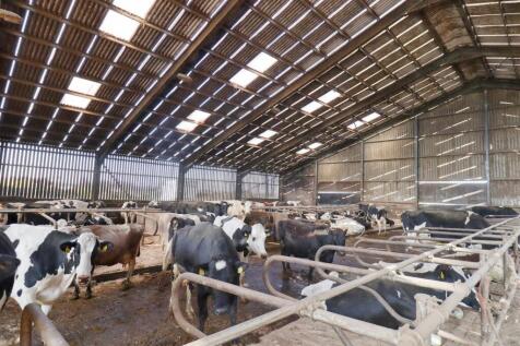 Outbuildings 8.jpg