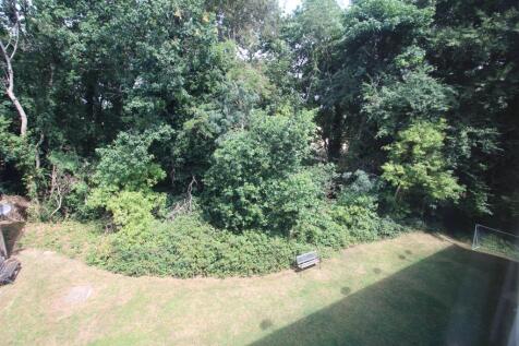 Communal Garden