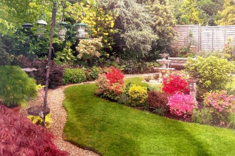 Garden (Summer)