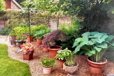 Garden (Summer)