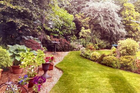 Garden (Summer)