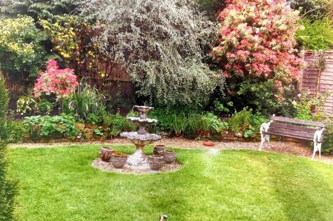 Garden (Summer)