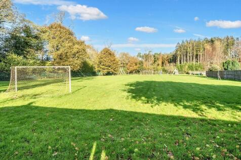 Field