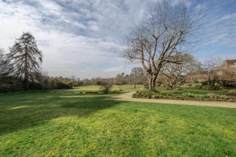Lawn